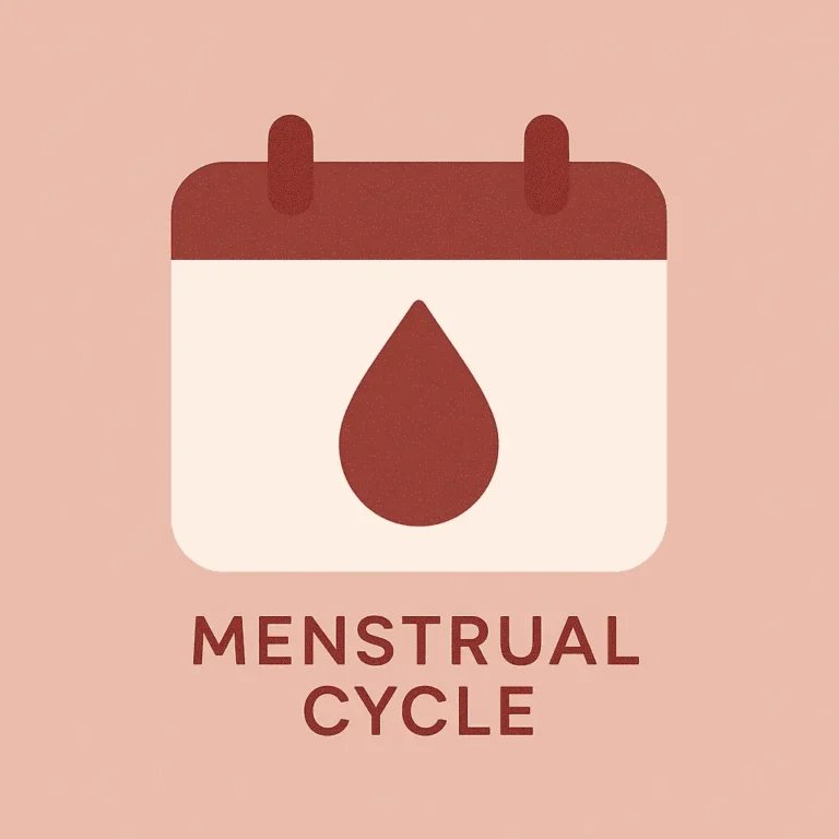 menstrual-cycle-الدورة-الشهرية