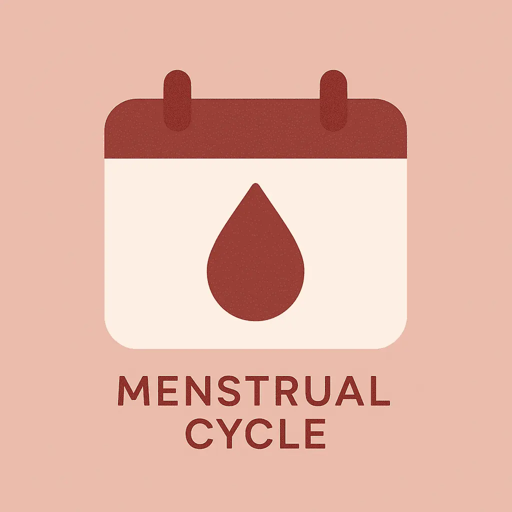 menstrual-cycle-الدورة-الشهرية